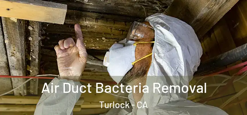 Air Duct Bacteria Removal Turlock - CA