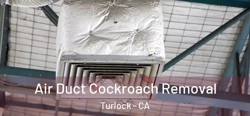 Air Duct Cockroach Removal Turlock - CA