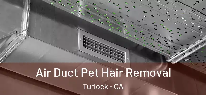 Air Duct Pet Hair Removal Turlock - CA