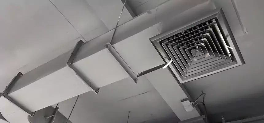 Restorative Allergy Relief Vent Cleaning – Coil, Blower & Housing Detail in Turlock