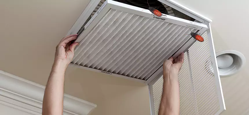 Our Insect Removal from Air Ducts Services in Turlock, CA