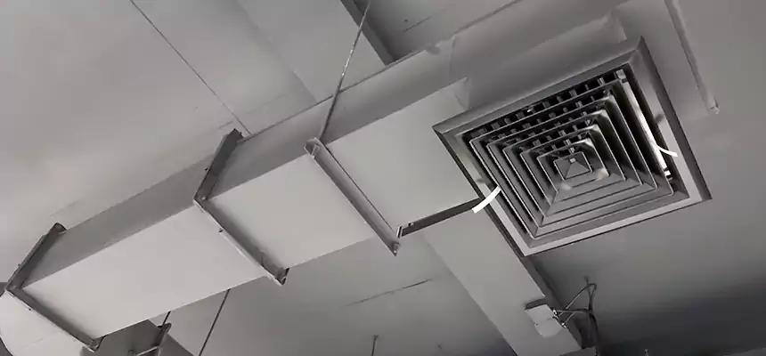 Our Pest Removal From Ducts Services in Turlock, CA