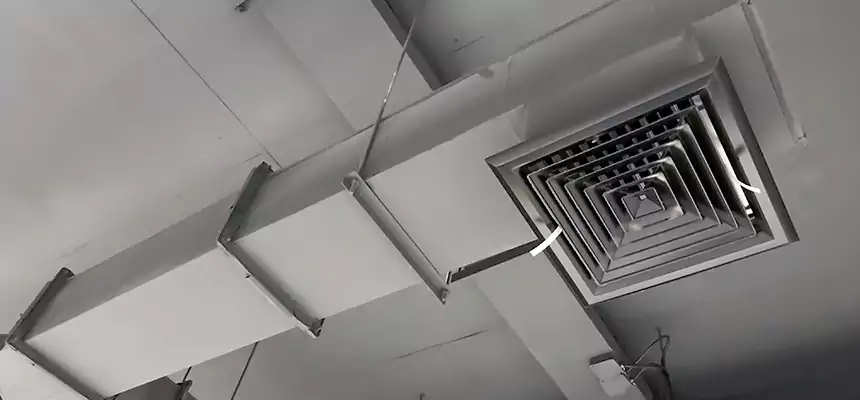 Our Rodent Droppings In Vents Services in Turlock, CA