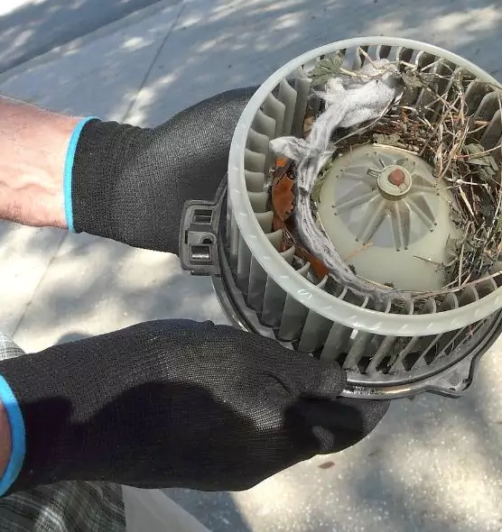 About Air Duct Mice Removal in Turlock, CA