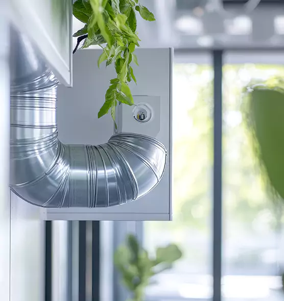 Professional Eco-Safe Dryer Vent Cleaning in Turlock, CA