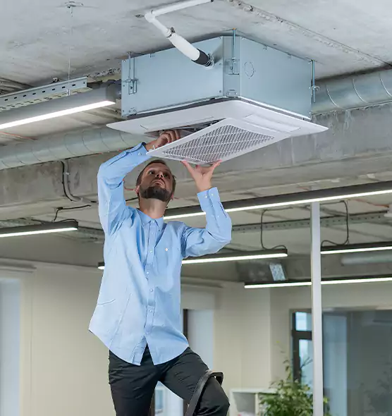 Advanced Rodent Droppings In Vents in Turlock, CA