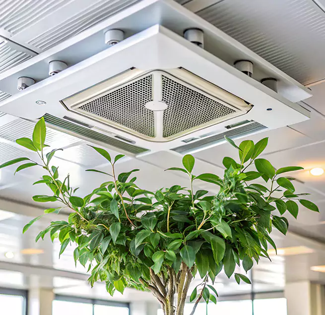 Why Homeowners & Businesses Trust Us in Turlock, CA?